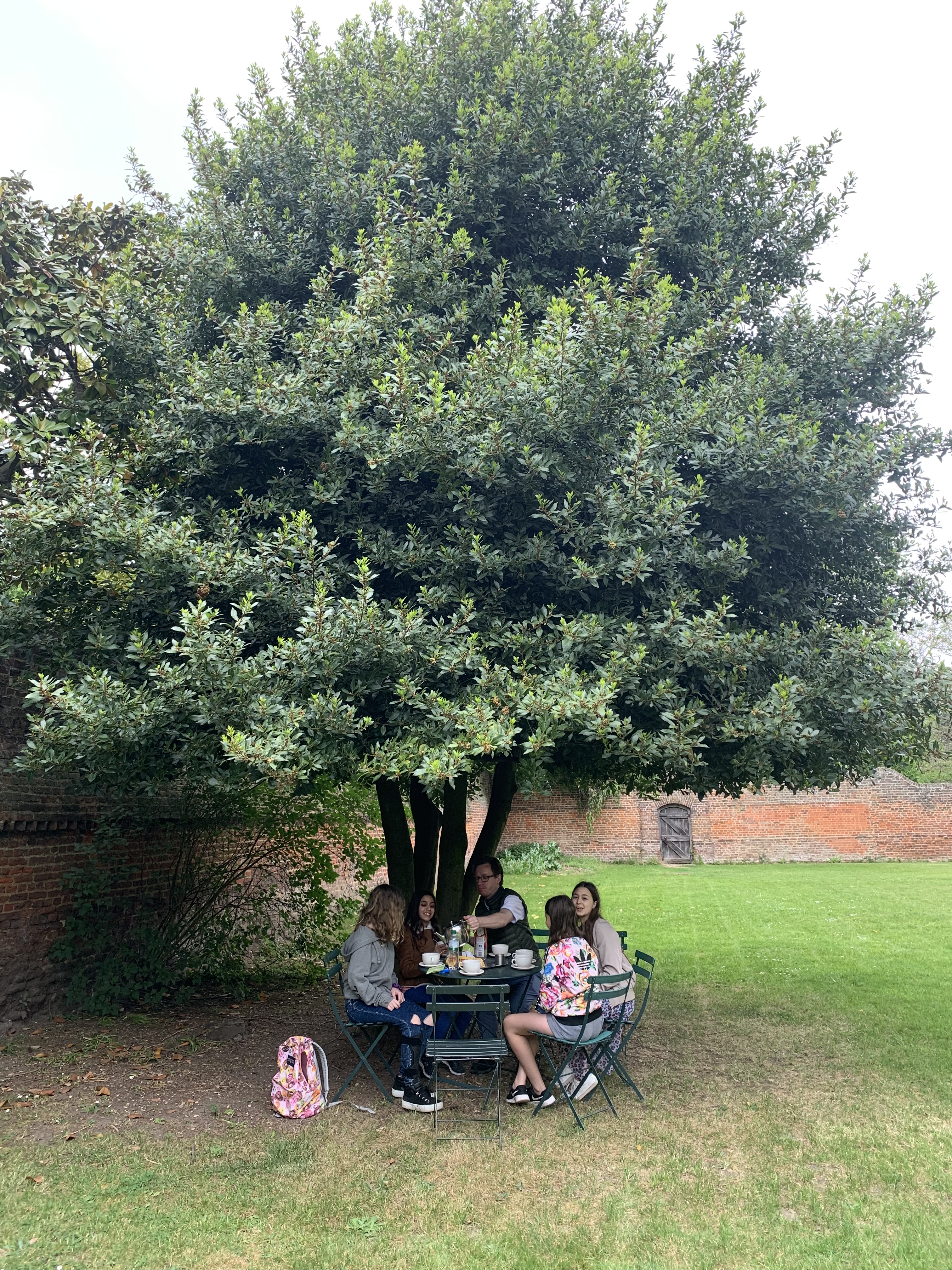 86CC278C-929E-47E3-9F36-AF99CCCB872B