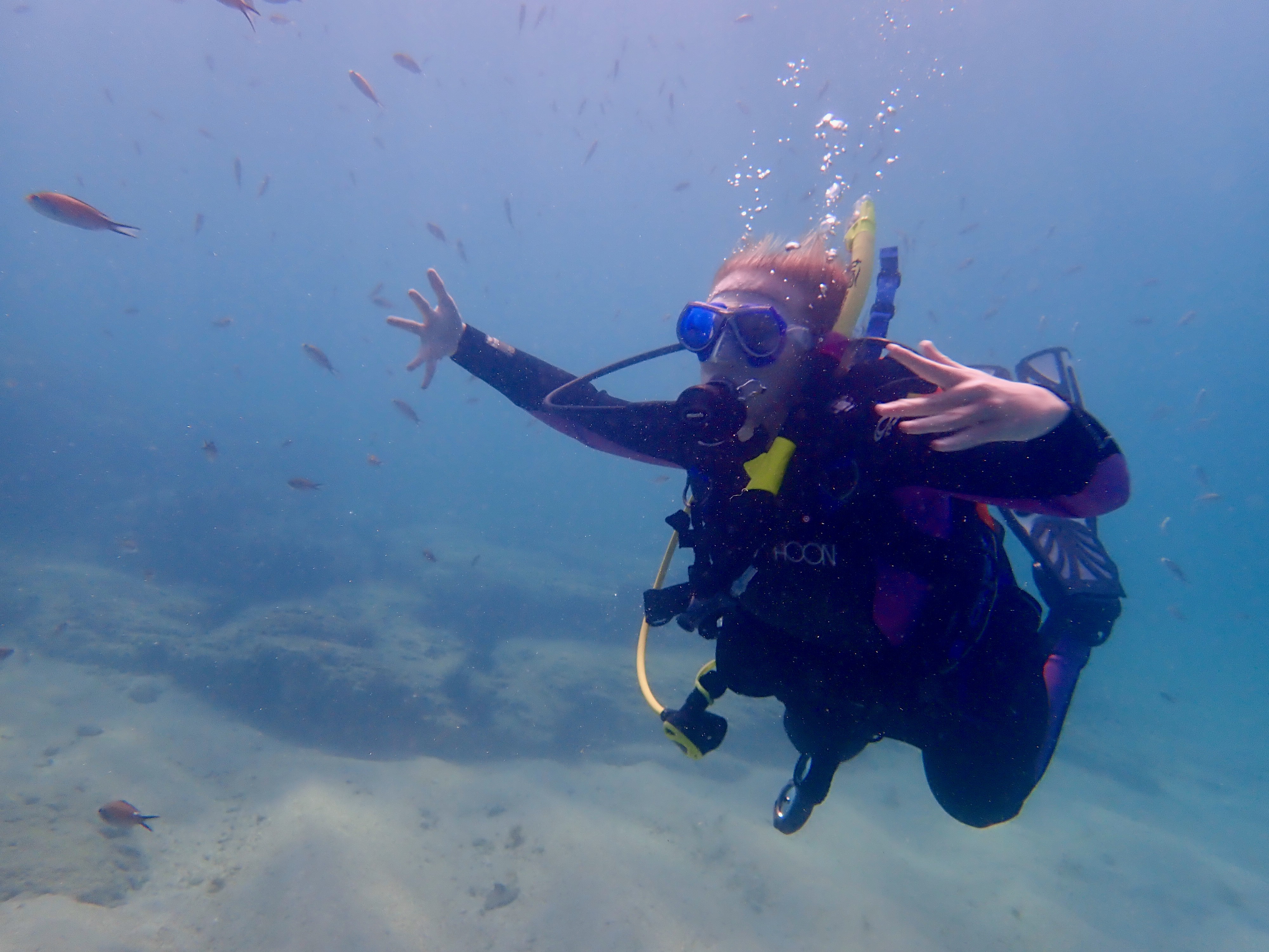 OLYMPUS DIGITAL CAMERA